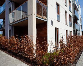 Apartament Irs Royal Irs Nadmorski Dwór *