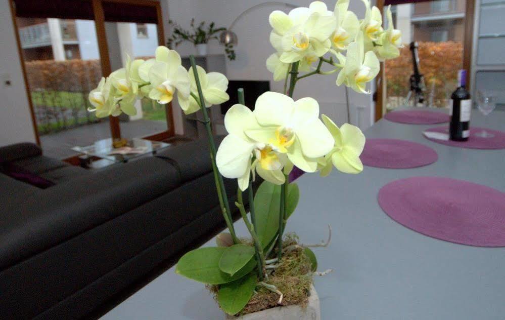 Irs Royal Irs Nadmorski Dwór Apartament Gdańsk